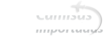 Camisas Importadas